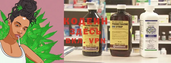 индика Белоозёрский