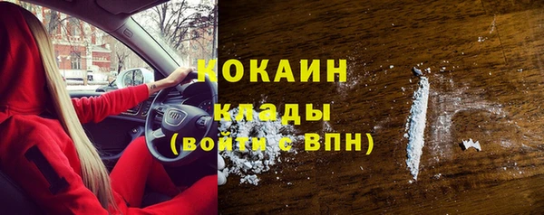 индика Белоозёрский