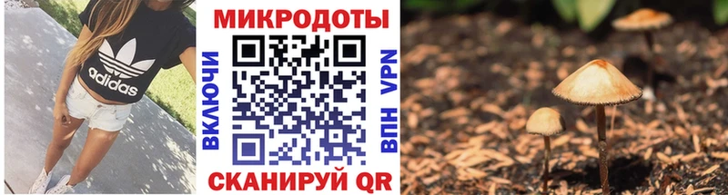 Галлюциногенные грибы мицелий хочу Барыш