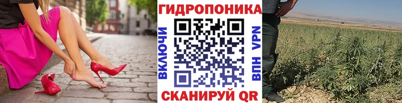Бошки марихуана семена МЕГА ТОР Барыш сколько стоит